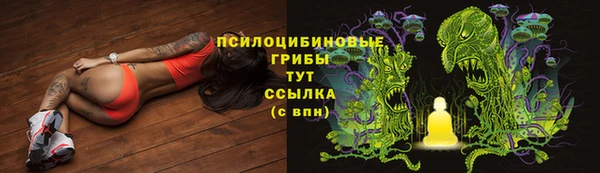 ешки Богданович
