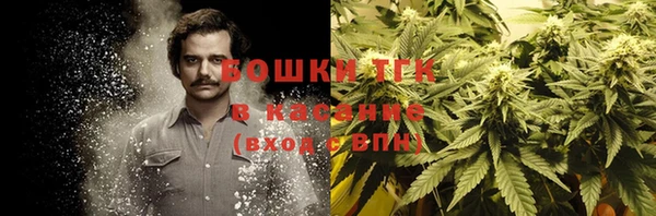 ешки Богданович