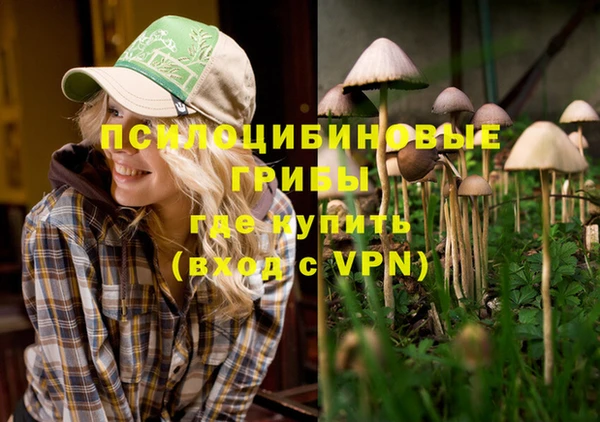 ешки Богданович
