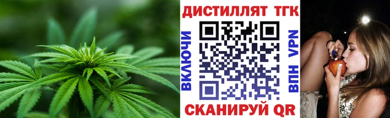 shop официальный сайт  Красный Кут  ТГК концентрат 